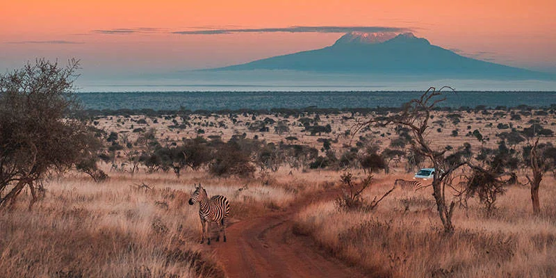 Mount Kenya National Park 5
