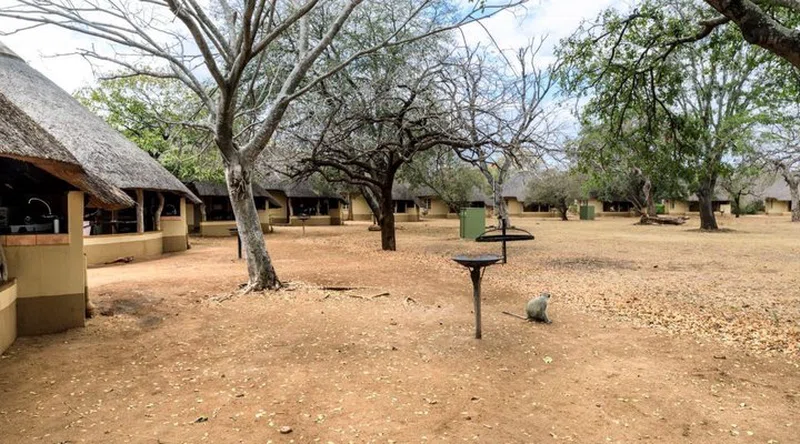 Satara Rest Camp - Kruger National Park 2