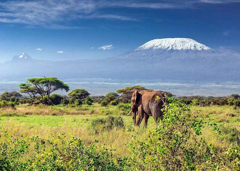 Mount Kilimanjaro National Park 3