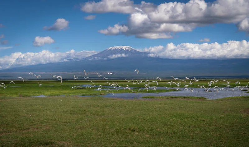 Mount Kilimanjaro National Park 4