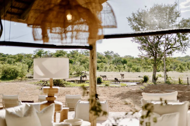 Tarentaal Guest Farm, Namibia, Etosha National Park 3