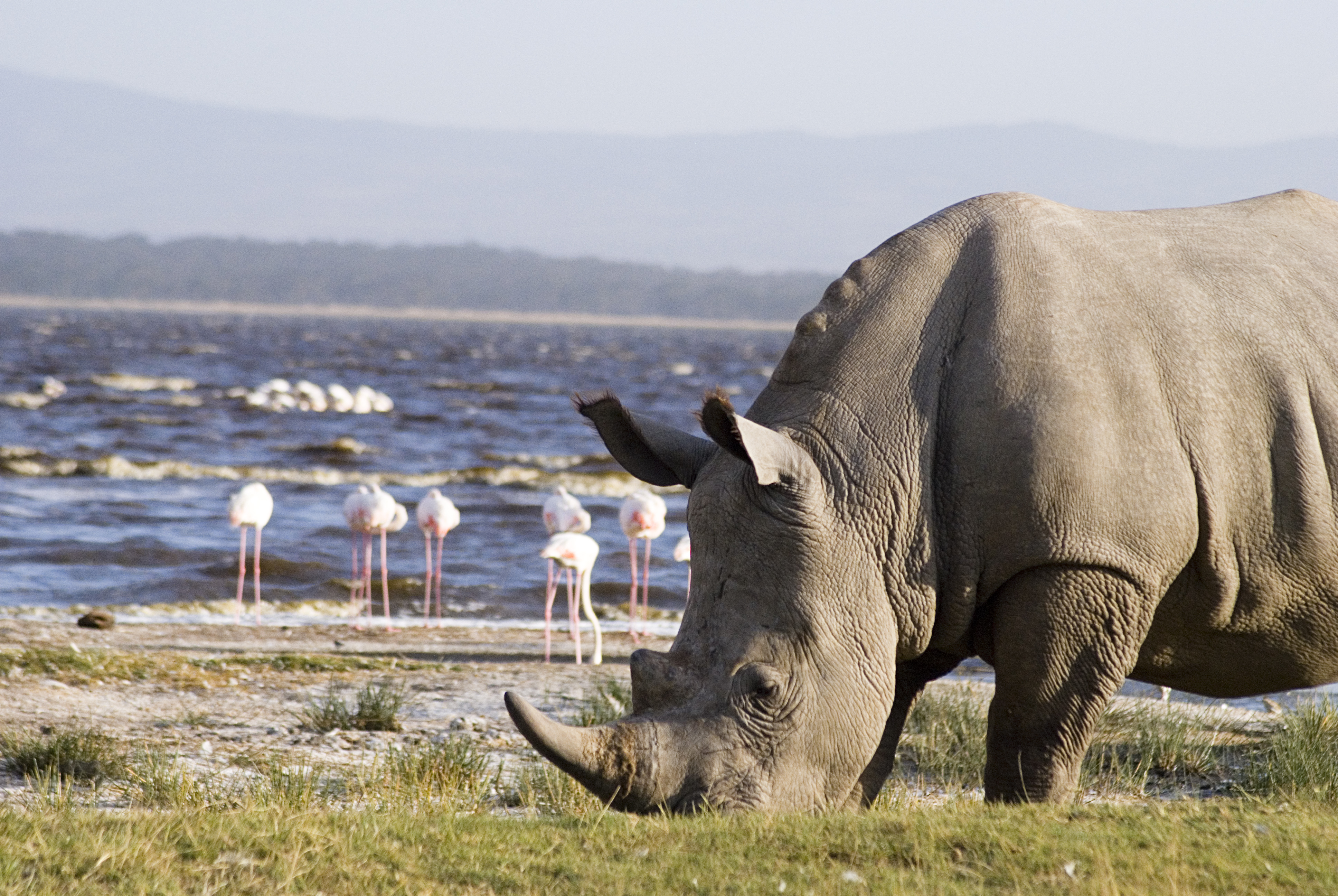Go East Africa Safaris 2