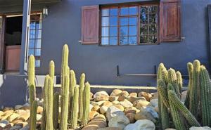 De Kloof 2