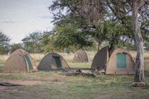 Tanzania Budget Camping Safari