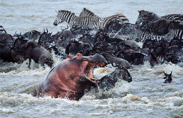 Go East Africa Safaris 3