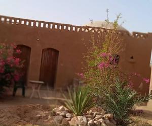 El Forsan Cafe 4