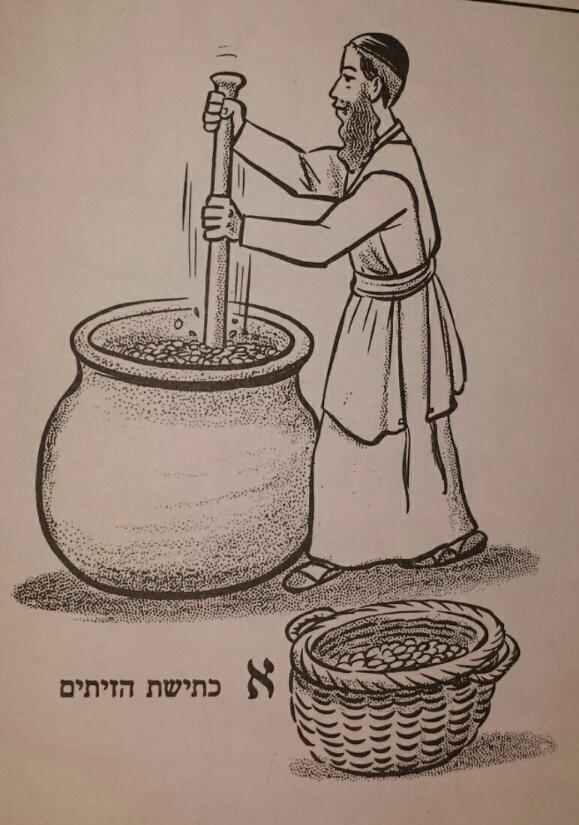 Restored Olive Press