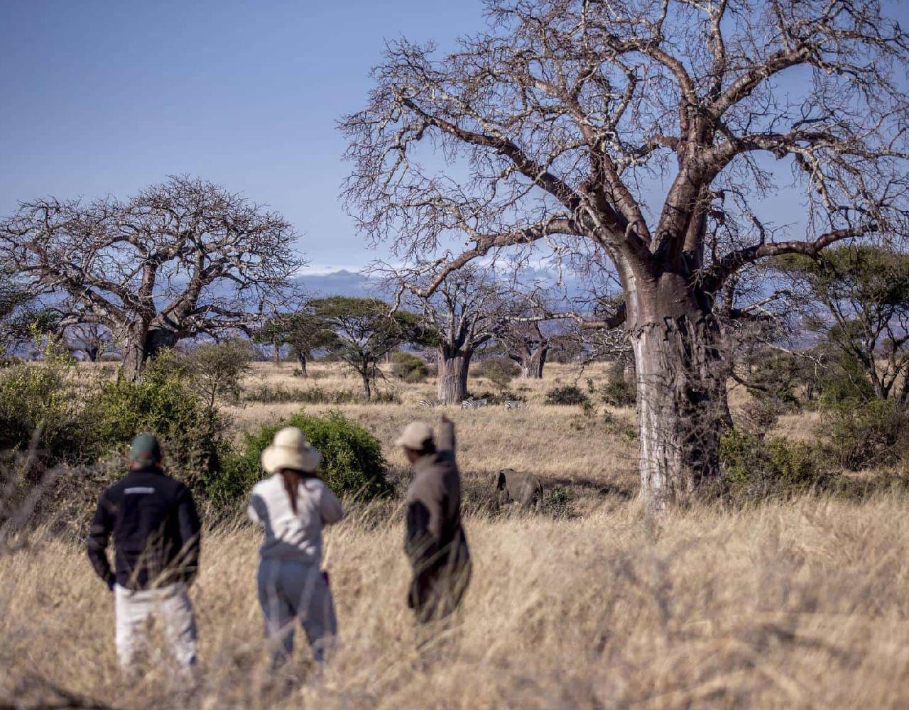 2 Days/1 Night Nyerere National Park Safari 3