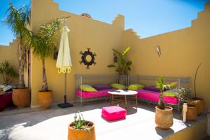 Riad Safir 2
