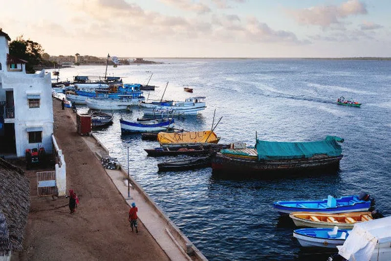Lamu 5
