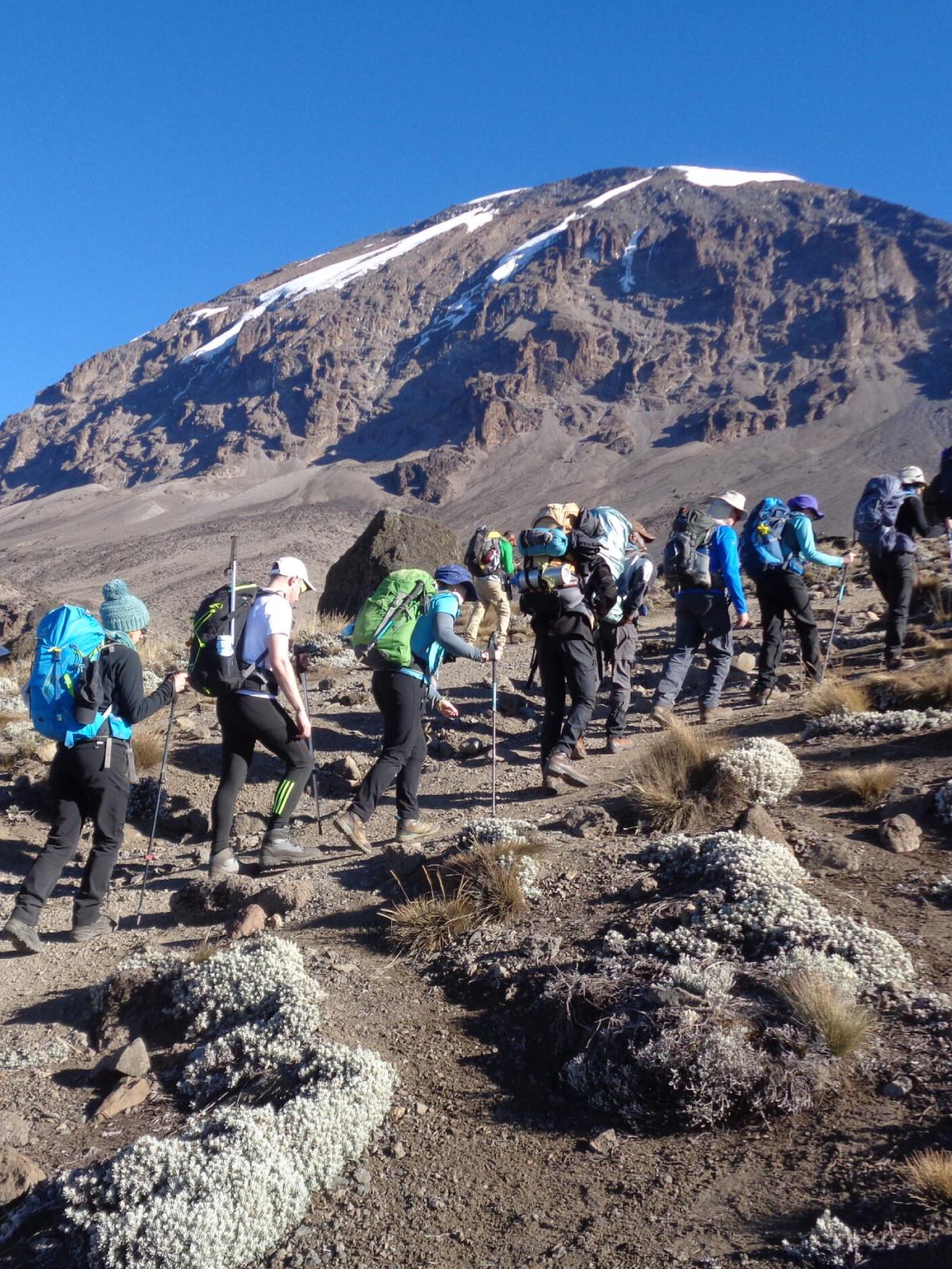 Furaha Tours and Safaris 5