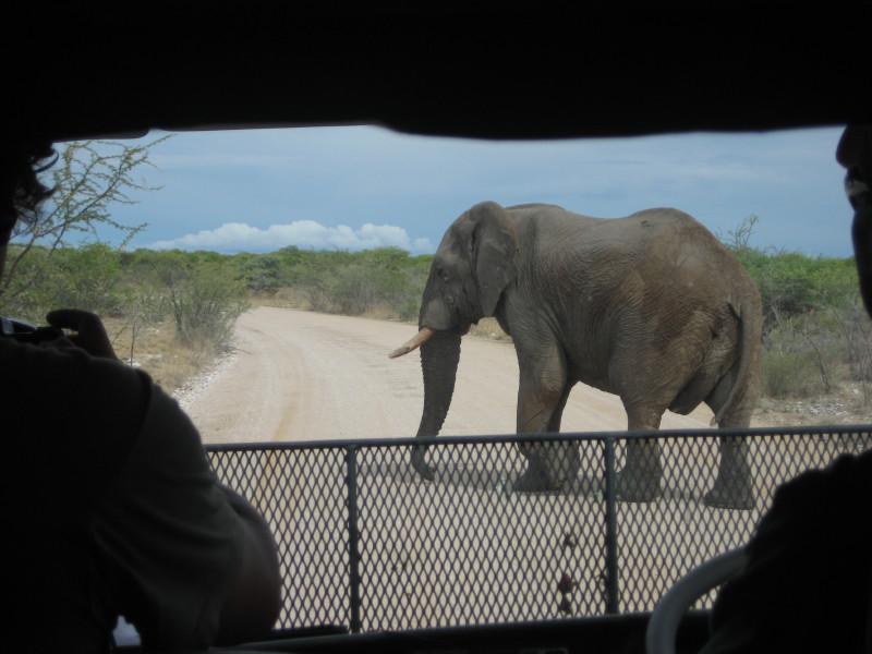 Nomad Adventure Tours & Holidays 3