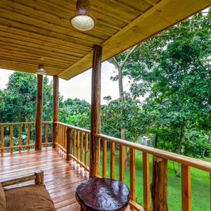 Chimpanzee Forest Guesthouse 2