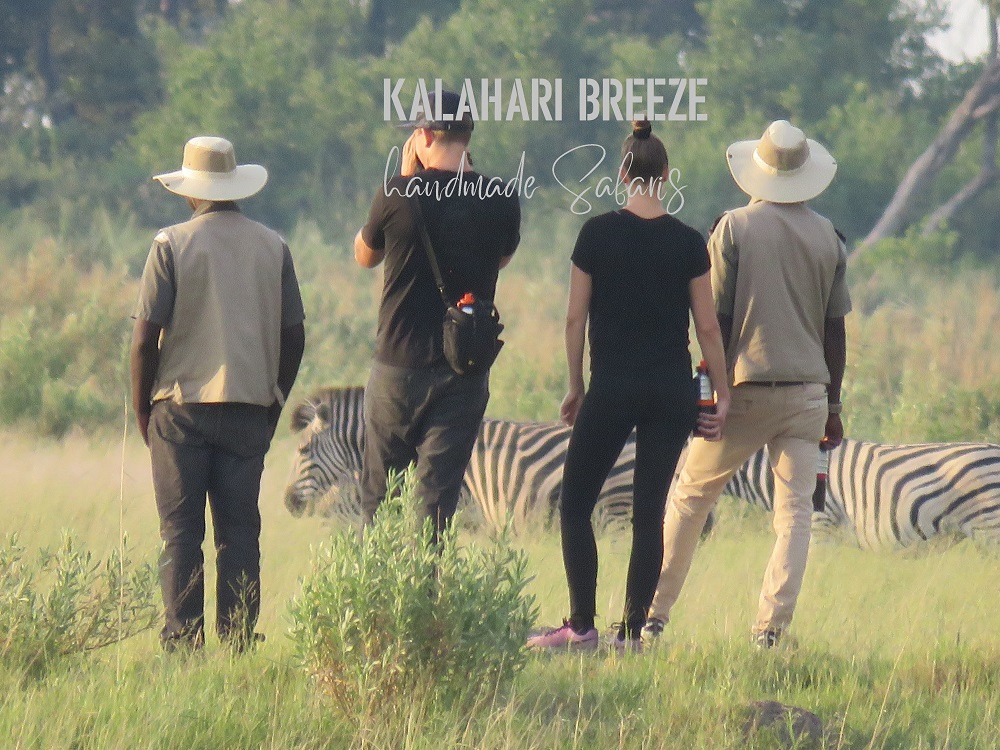 Kalahari Breeze Safaris 3
