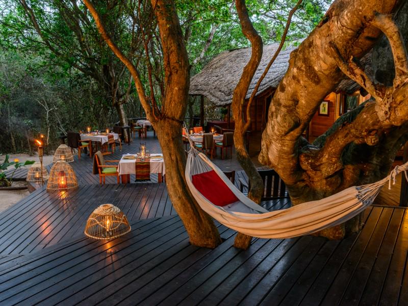 Kosi Forest Lodge