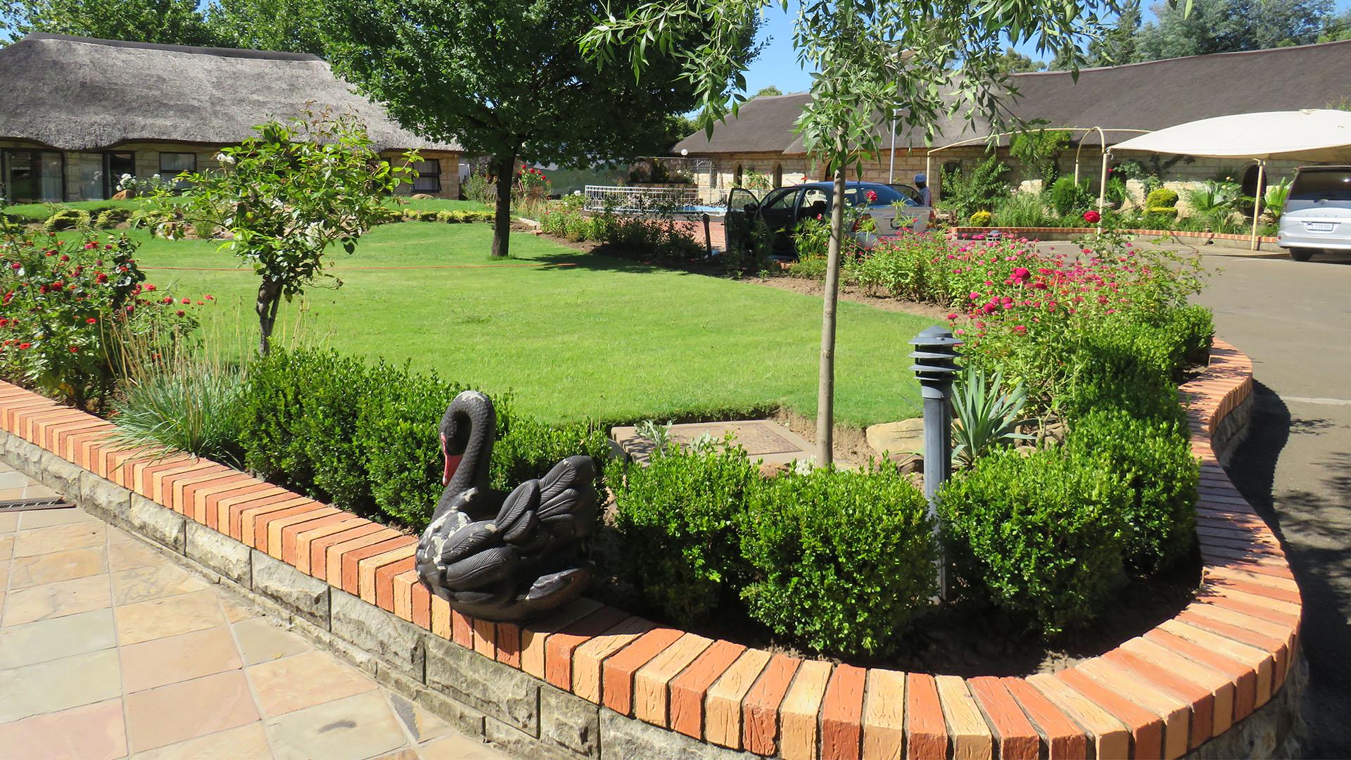 Black Swan B&B