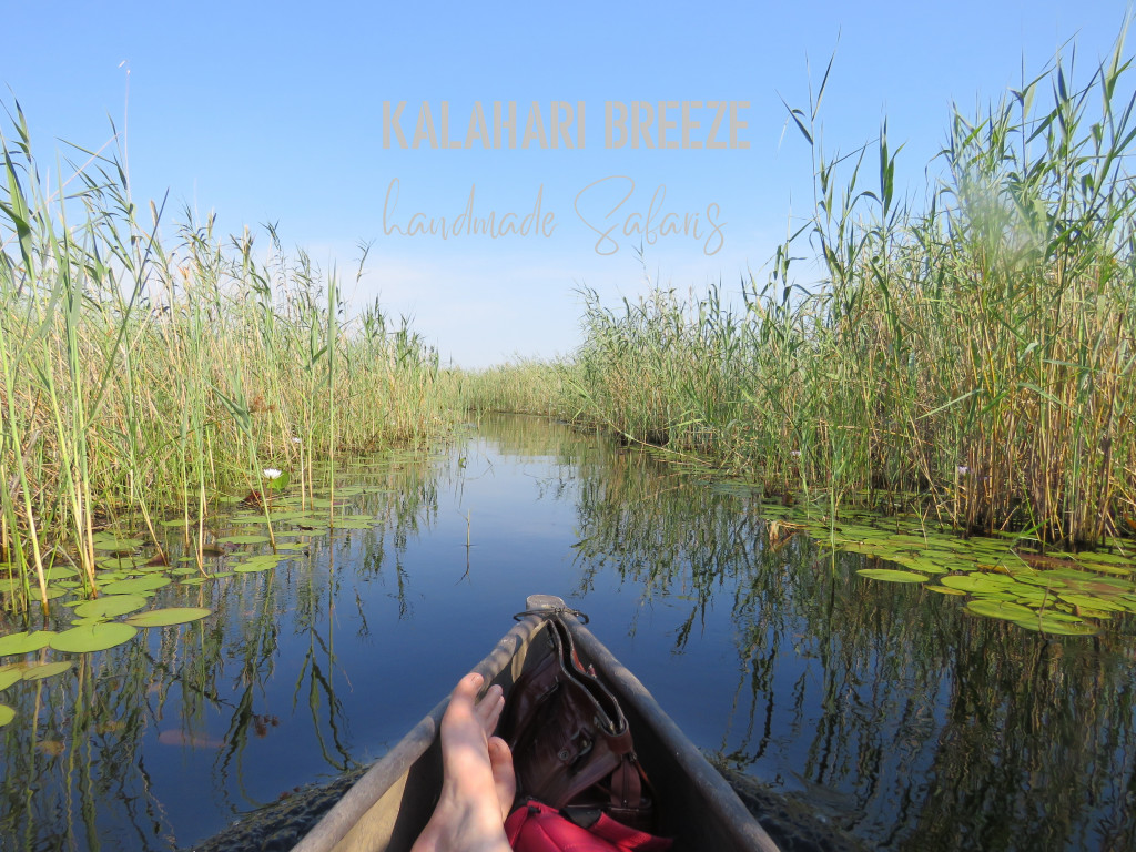 Kalahari Breeze Safaris