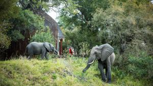 Hoyo Hoyo Safari Lodge 2