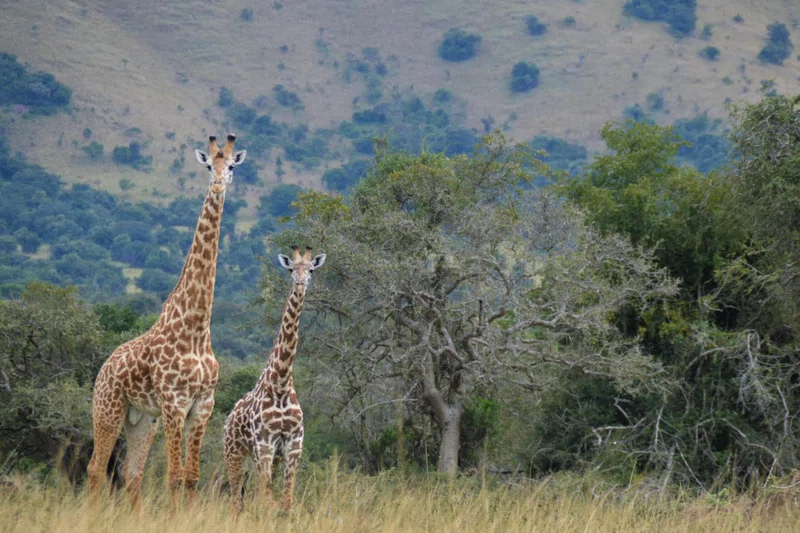 Rwamagana 3