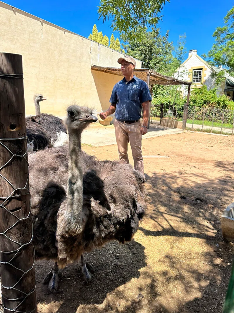 Oudtshoorn 5