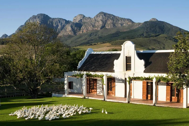 Stellenbosch 3