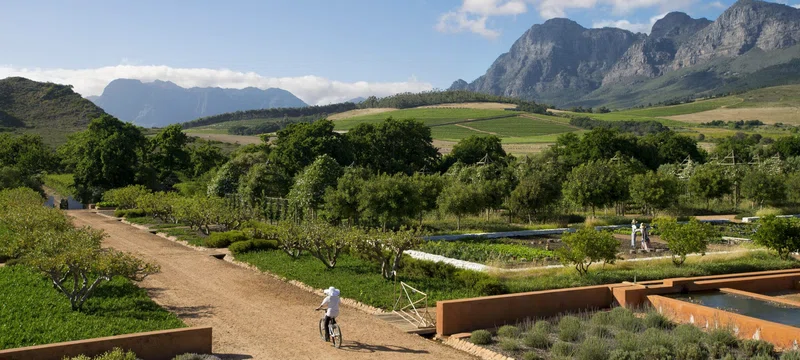 Stellenbosch 2