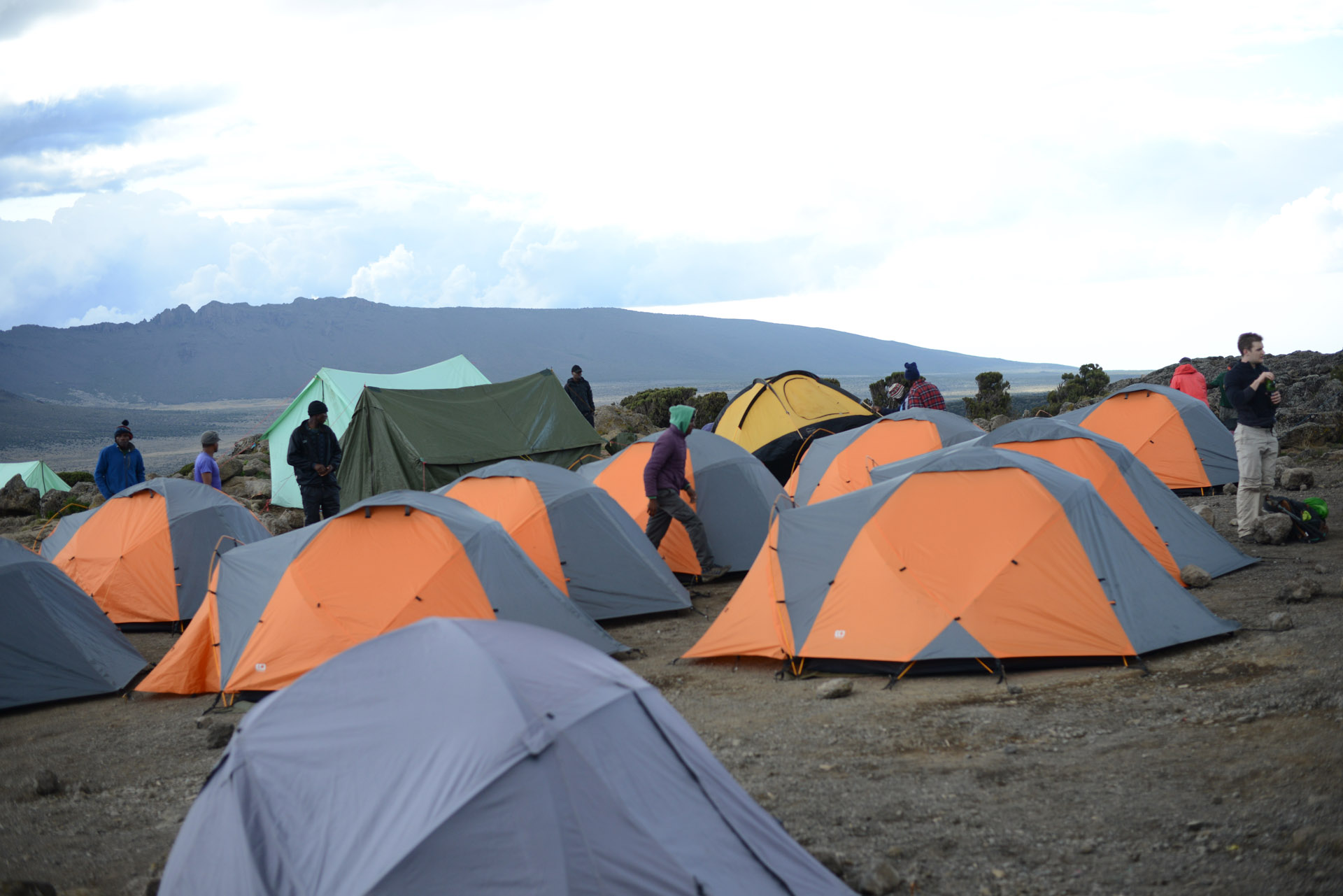 Sirikwa Travel 5