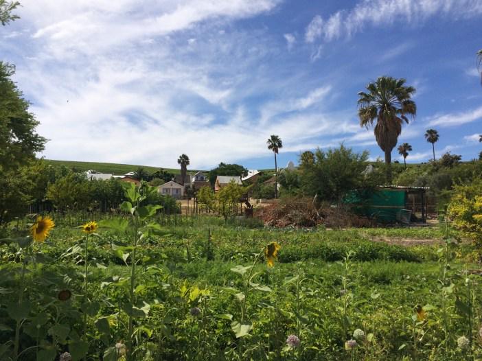 Lynedoch EcoVillage