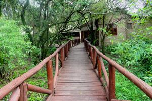 Kimana Camp 3
