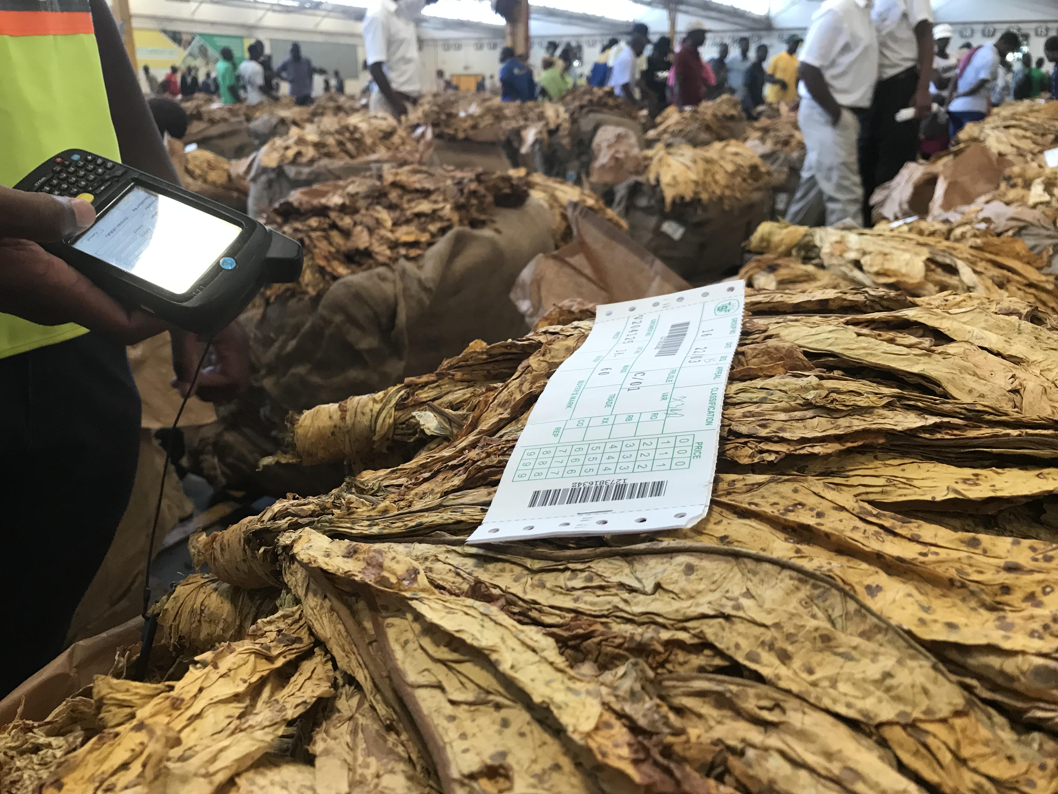 Tobacco Floor