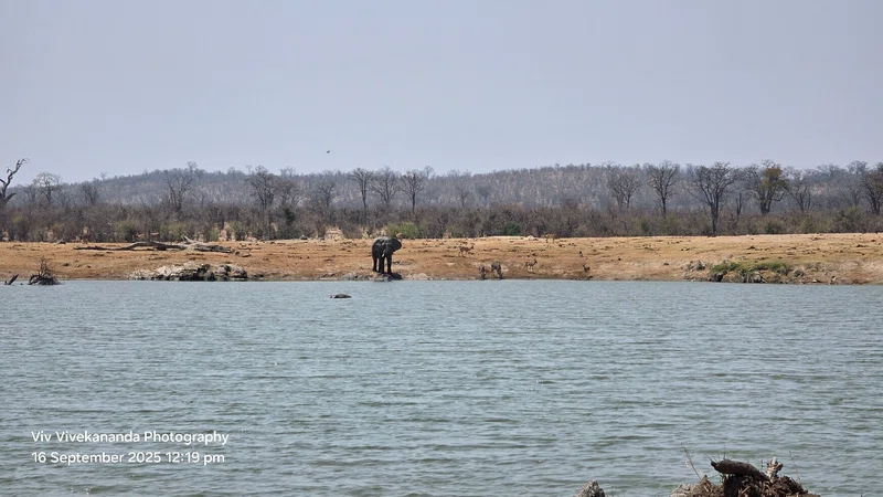 Hwange 2