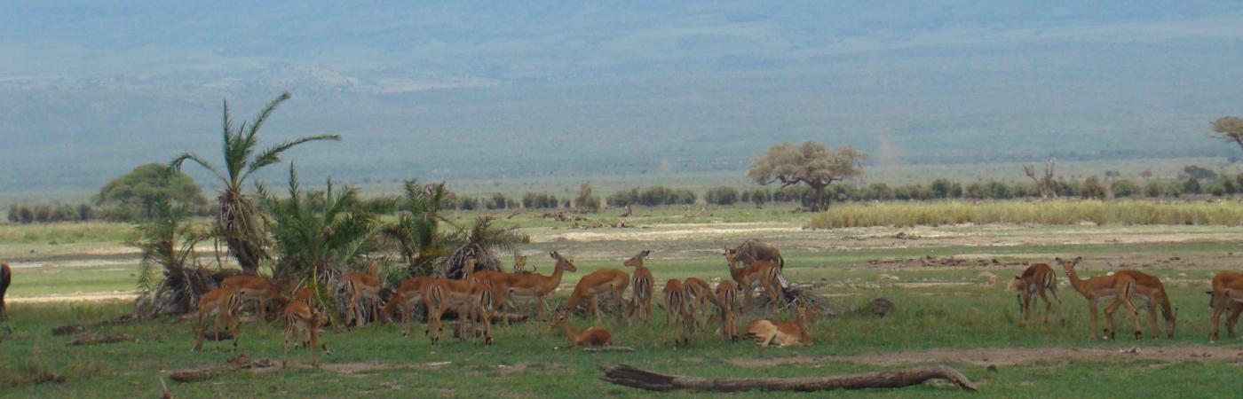 Lake Amboseli 2