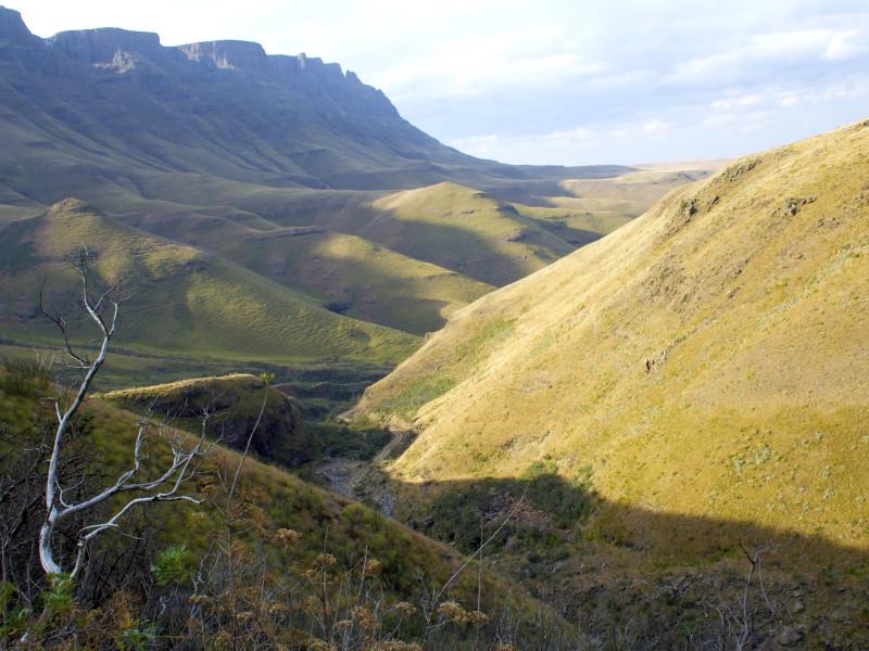Nomad Adventure Tours & Holidays