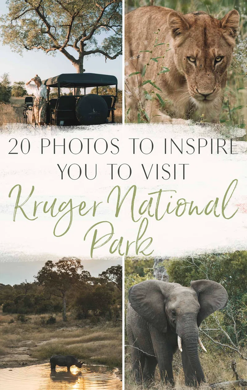 Kruger National Park 3