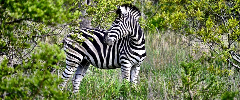 Pilanesberg National Park 2