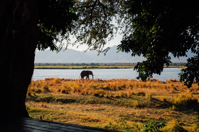 Mana Pools National Park 5