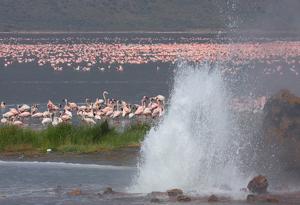 Kenya Safari Packages