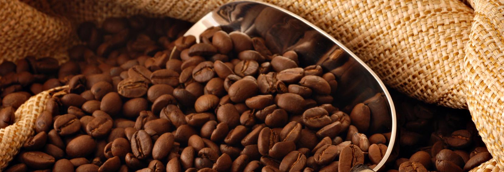Karunguru Coffee Estate 2
