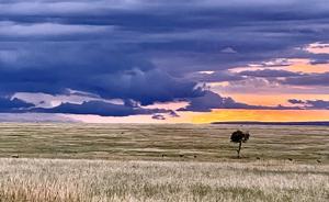 Mara Bush Camp 3