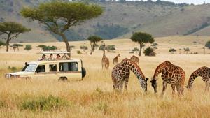 Luxury Kenya Safari