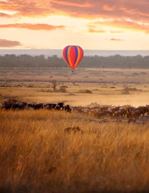 Porini Safari Camps 2