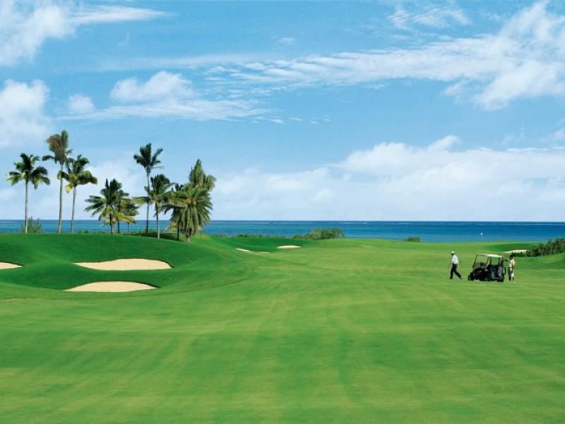 Golf Buddies 4