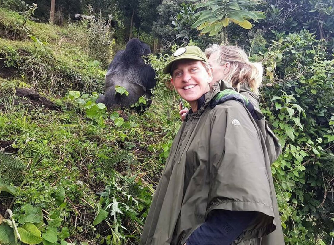 Kabira Gorilla Safaris 3