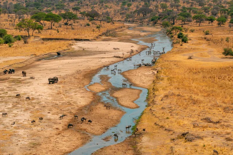 Central Serengeti National Park 4