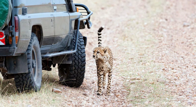 Laikipia Plateau 3