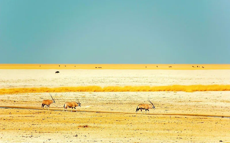 Kunene Region 2