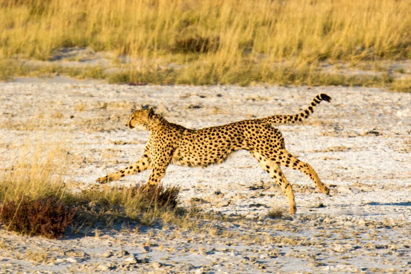 Kunene Region