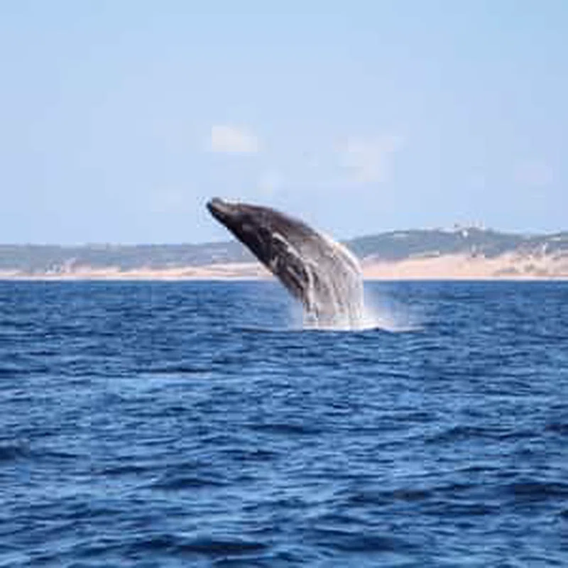 Mozambique Beaches 2
