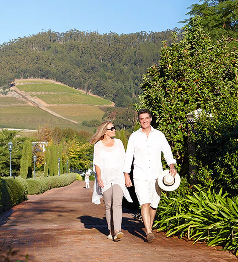 Cape Winelands