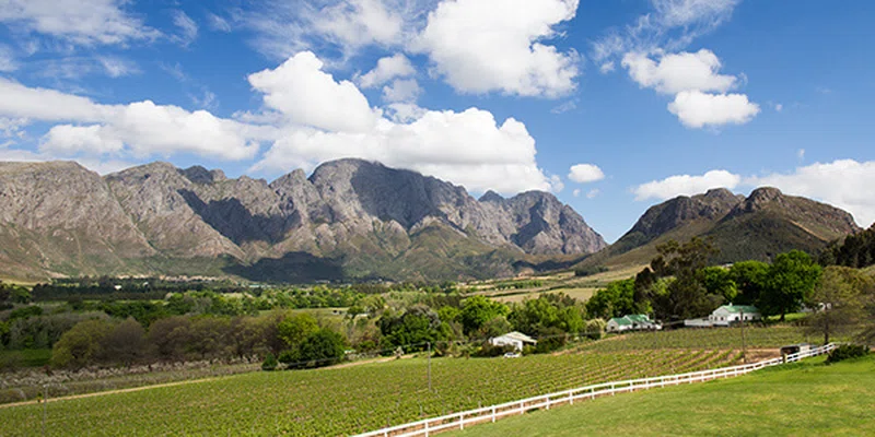 Cape Winelands 2